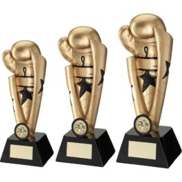 GOLD/BLACK BOXING STAR COLUMN WITH PLATE (1in CENTRE) – 7.25in